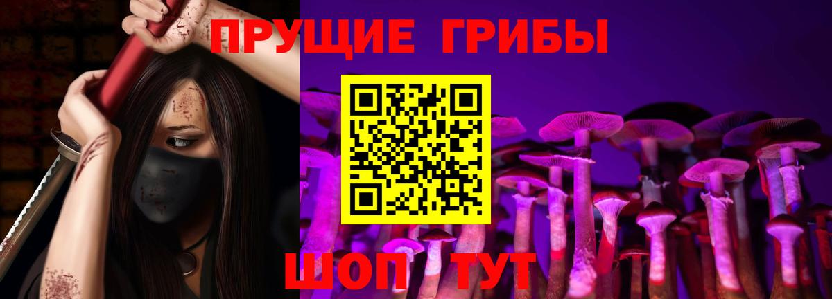Галлюциногенные грибы прущие грибы Курчалой